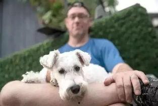 看萌狗最新爆料视频大全,萌宠集结！看萌狗最新爆料视频大全